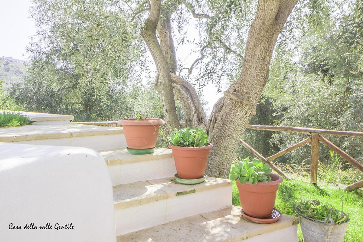 Casa Della Valle Gentile Маттината Экстерьер фото